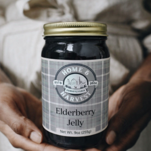 Elderberry Jelly